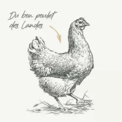 Croquettes pour chat adulte stérilisé au poulet sans céréales grandes races Bab'in Signature - 3 kg