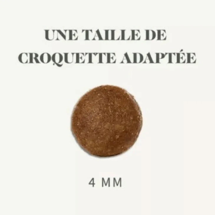 Croquettes pour chat adulte stérilisé au saumon sans céréales Bab'in Signature - 6 kg