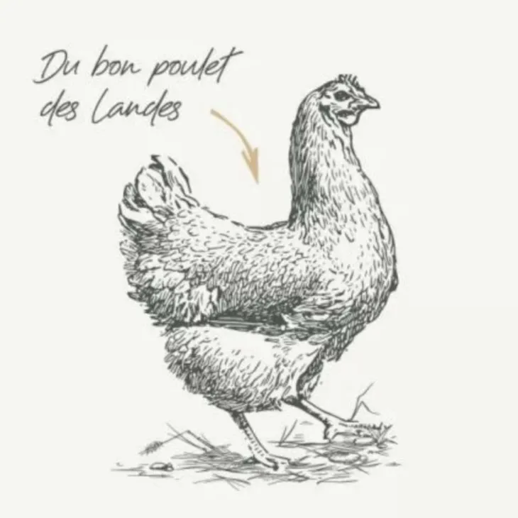Croquettes pour chien junior au poulet sans céréales Bab'in Signature - 3 kg