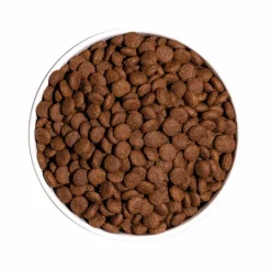 Croquettes pour chien junior Ownat classic - 12 kg