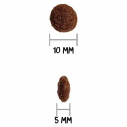 Croquettes pour chien junior Ownat classic - 12 kg