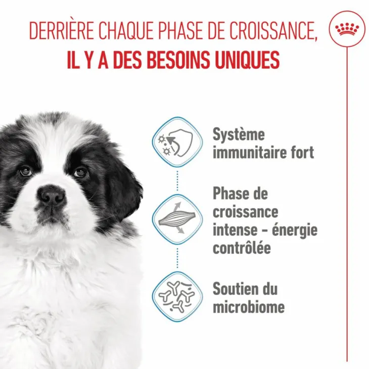 Croquettes pour chiot Royal Canin Giant - 15 kg