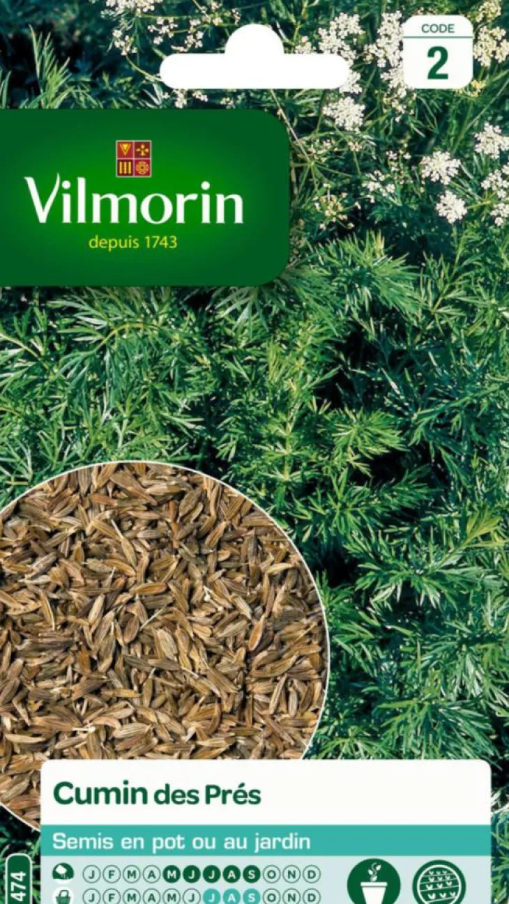 Cumin des Près Vilmorin - graines à semer