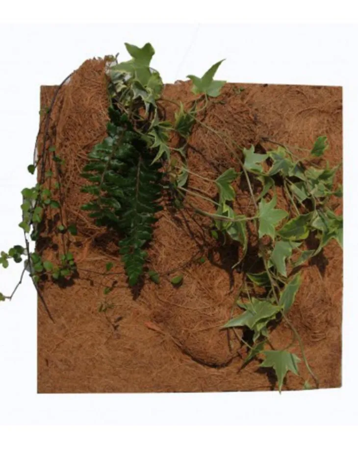 Décor de fond pour terrarium fibre de coco coloris marron Reptile Planet Planting Background - 50 x 50 x 10 cm