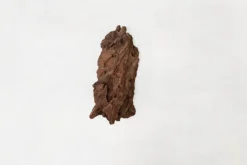 Décor pour aquarium coloris marron racine Mangrove MS Aquavie - 25 à 40 cm