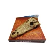 Décor pour terrarium en résine coloris beige tête d'alligator Reptile Planet Gator Bones
