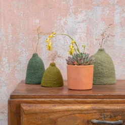 Echeveria mix pot terre cuite Ø10xH15 cm