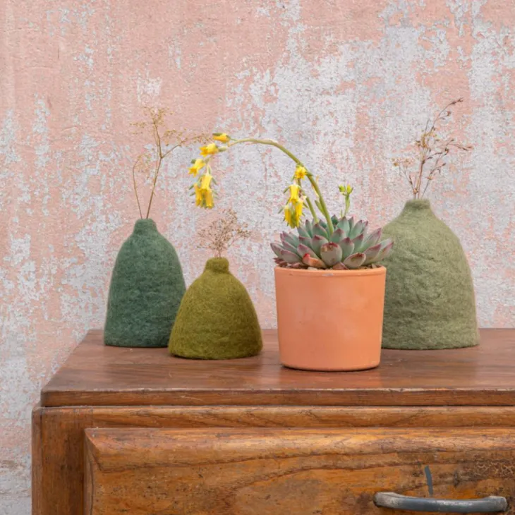 Echeveria mix pot terre cuite Ø10xH15 cm