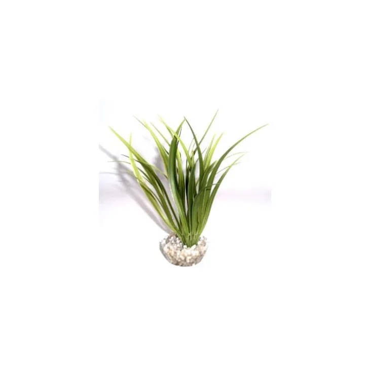 Echinotorus vert en plastique 16 cm