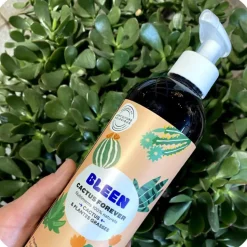 Engrais cactus & succulentes liquide naturel Bleen - 450 mL