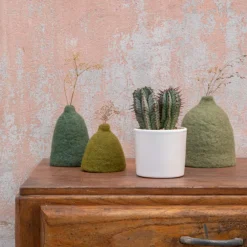 Euphorbia en pot blanc émaillé H 10 x Ø 10 cm