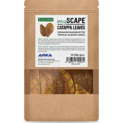 Feuilles de badamier taille S, ARKA myScape-Catappa - 10 pièces de 12,5/16 cm