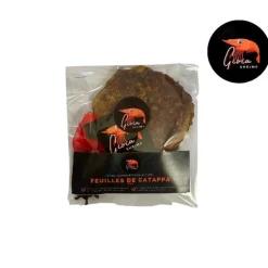 Feuilles de catappa pour les crevettes d'aquarium Gioiashrimp – sachet de 10