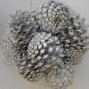 Filet de 12 petites pommes de pin teintées argent pour décoration de Noël