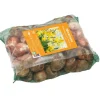 Filet de narcisse botanique botanic® - 100 bulbes