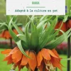 Fritillaire Rubra botanic® - 1 bulbe