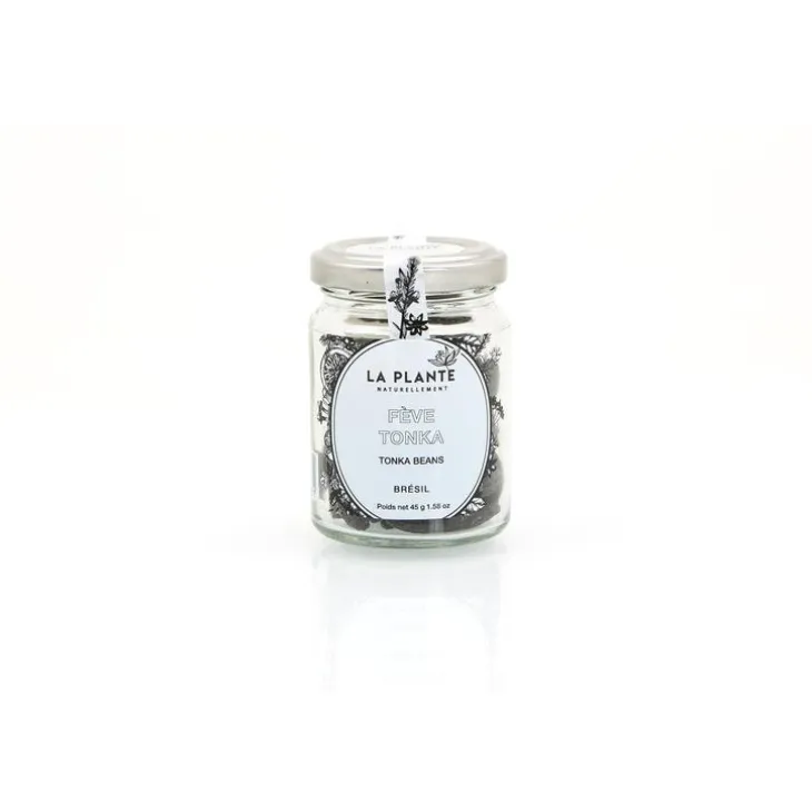 Fève Tonka - Pot en verre de 45 g