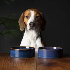 Gamelle pour chien en grès coloris bleu nuit Reactive Glaze Scruffs - 19 x 19 x 8 cm