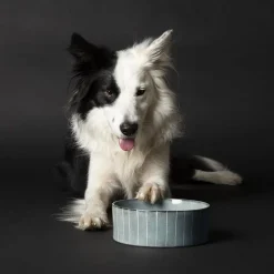 Gamelle pour chien en grès coloris gris avec rayures Reactive Glaze Scruffs - 19 x 19 x 8 cm