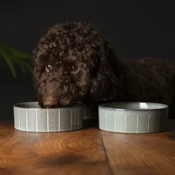 Gamelle pour chien en grès coloris gris avec rayures Reactive Glaze Scruffs - 19 x 19 x 8 cm