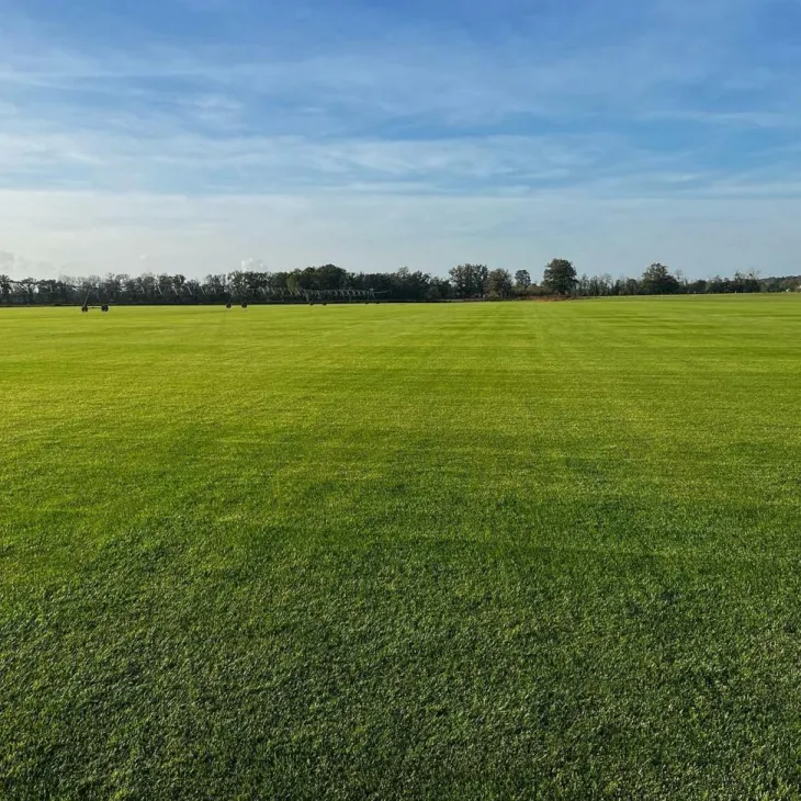 Gazon naturel résistant à la sécheresse en rouleaux Les Gazons de la Hardt - prix au m² pour une surface achetée totale de 151 à 300 m²