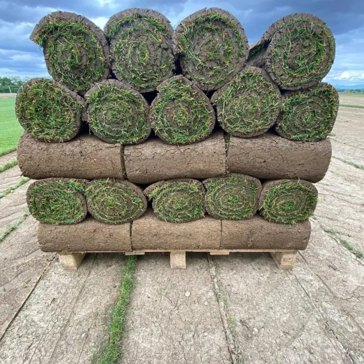 Gazon naturel résistant à la sécheresse en rouleaux Les Gazons de la Hardt - prix au m² pour une surface achetée totale de 151 à 300 m²