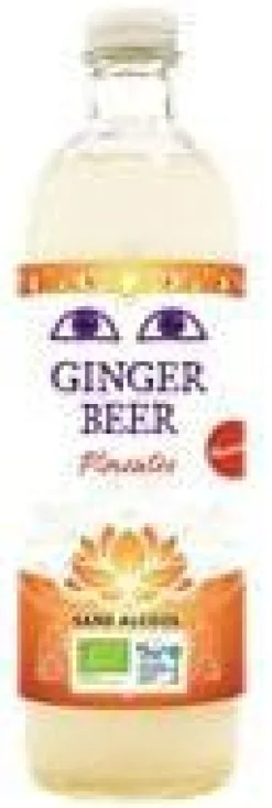 Gingerbeer pimentée bio en bouteille Karma - 350 ml
