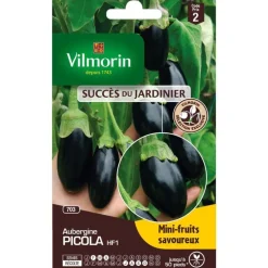 Graines d'aubergine picola HF1 Vilmorin - graines à semer