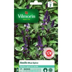 Graines de basilic blue spice Vilmorin - graines à semer