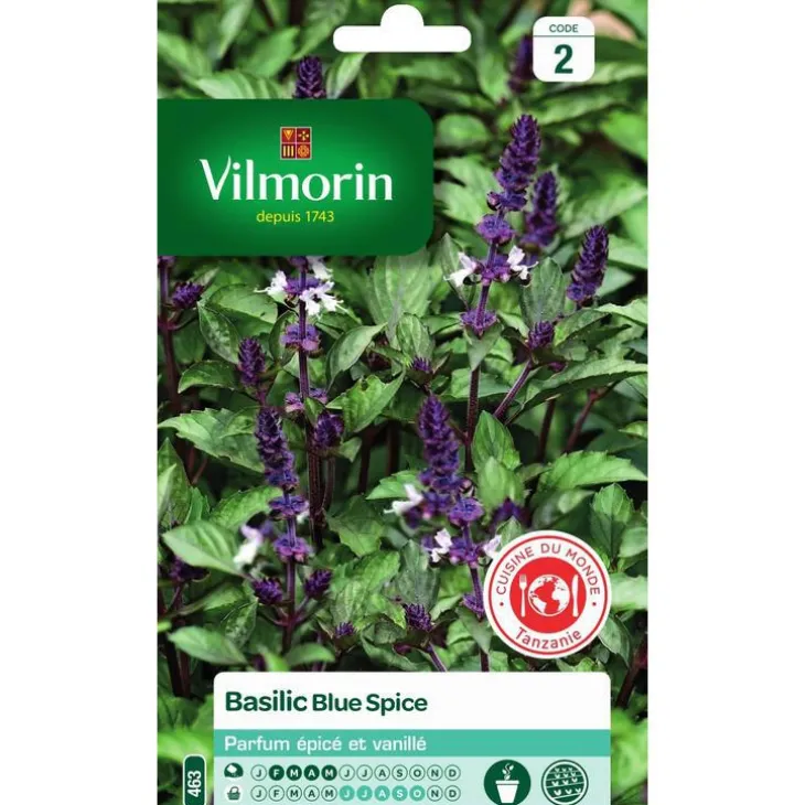 Graines de basilic blue spice Vilmorin - graines à semer