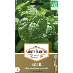 Graines de basilic géant mammouth bio Ferme de Sainte Marthe - graines à semer