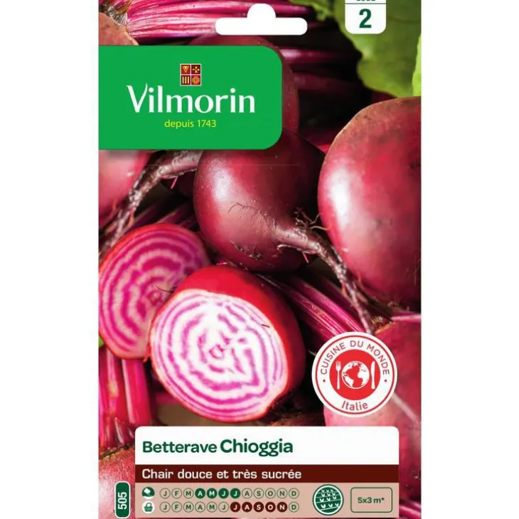 Graines de betterave chioggia Vilmorin - graines à semer