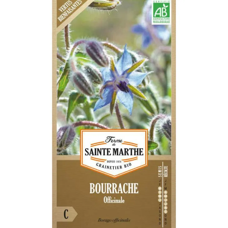 Graines de bourrache officinale bio Ferme de Sainte Marthe - graines à semer