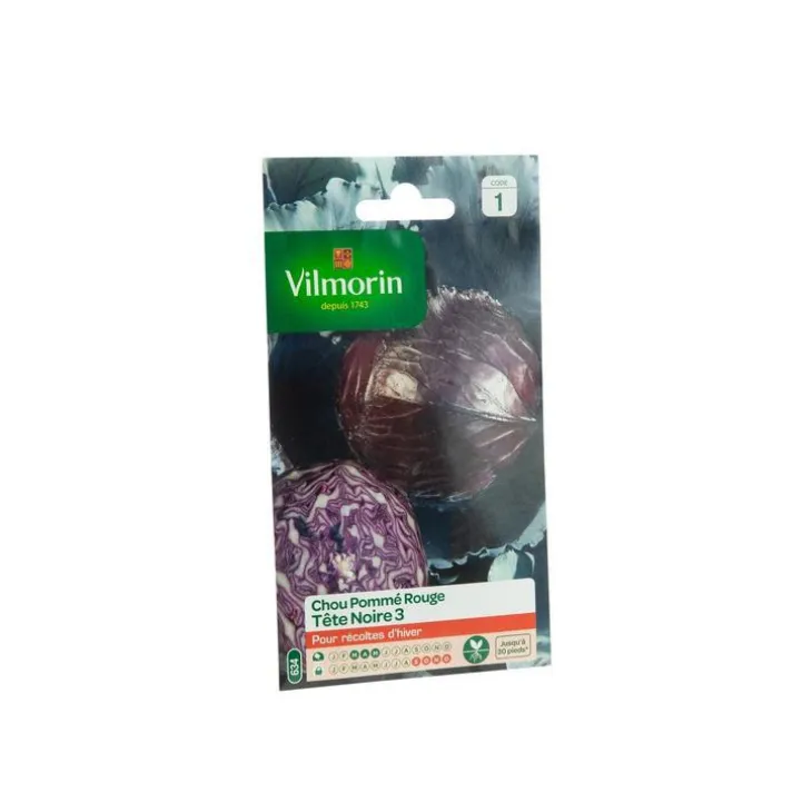 Graines de Chou rouge Tête noire Vilmorin - graines à semer