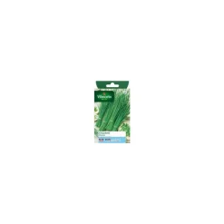 Graines de ciboulette danoise Vilmorin - graines à semer