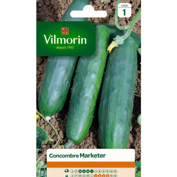 Graines de Concombre Marketer Vilmorin - graines à semer