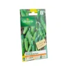 Graines de Cornichon vert petit de Paris Vilmorin Légumes d’autrefois - graines à semer