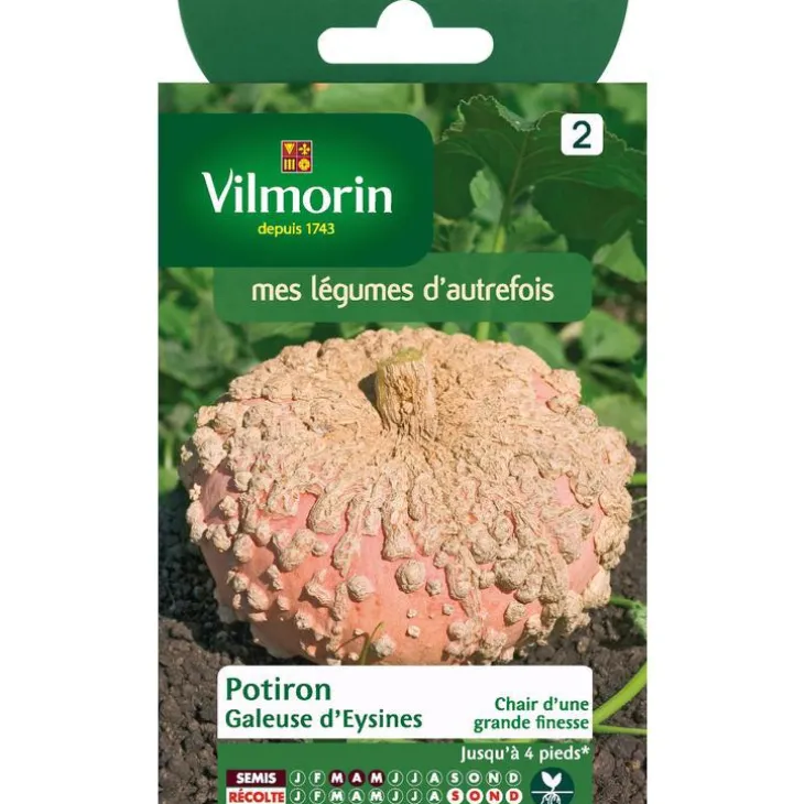 Graines de courge galeuse Vilmorin - graines à semer
