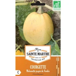 Graines de courgette melonnette jaspée de vendée bio Ferme de Sainte Marthe - graines à semer