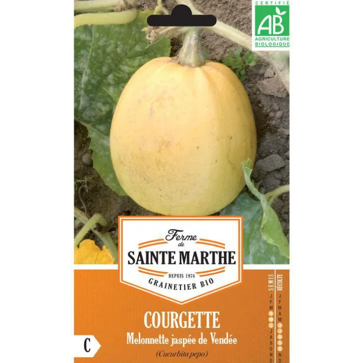 Graines de courgette melonnette jaspée de vendée bio Ferme de Sainte Marthe - graines à semer