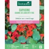 Graines de fleurs de Capucine grande de Lobb spitfire botanic®