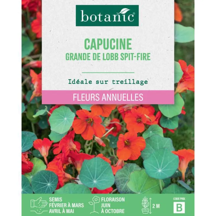 Graines de fleurs de Capucine grande de Lobb spitfire botanic®