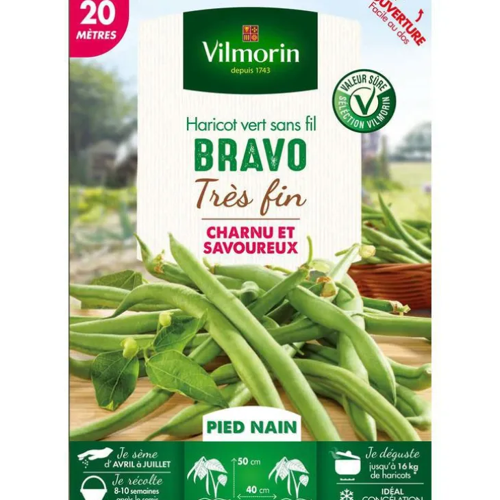 Graines de haricot nain Bravo Vilmorin - graines à semer