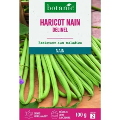 Graines de haricot nain delinel extra-fin sans fil botanic® - graines à semer