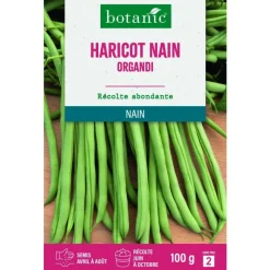 Graines de haricot nain organdi extra-fin sans fil botanic® - graines à semer 100 g