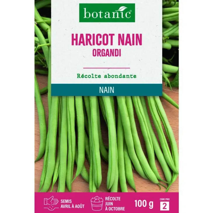 Graines de haricot nain organdi extra-fin sans fil botanic® - graines à semer 100 g