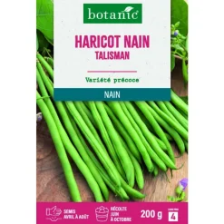 Graines de haricot nain talisman extra-fin sans fil botanic® - graines à semer 200 g