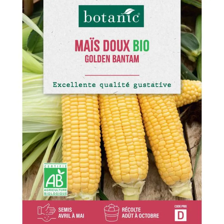 Graines de maïs doux golden bantam bio botanic® - graines à semer