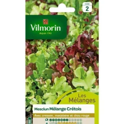 Graines de mesclun mélange crétois Vilmorin - graines à semer