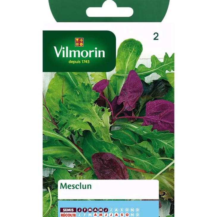 Graines de mesclun Vilmorin - graines à semer